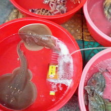 エイ…食べるみたいです。(^-^;A