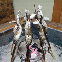 夕食でいただいた鮎の塩焼きです。