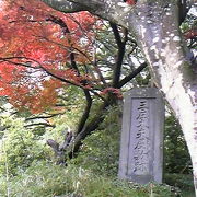 紅葉が綺麗な場所でした