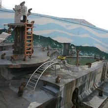 是非サルのエサやりを！