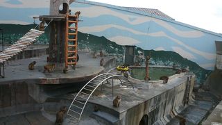 お猿さんにエサをあげましょう