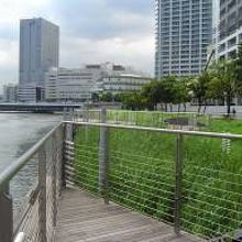 ポートサイド公園