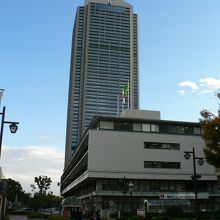 神戸市庁舎周辺