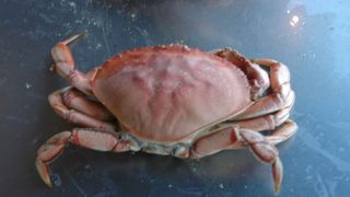 ケーブルカーの終点