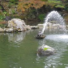 公園内の池と噴水