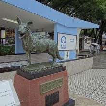 地下への入口には盲導犬サーブの像がありました