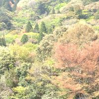 ロビーからの景色