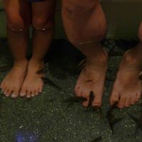 楽しめるポイントあります