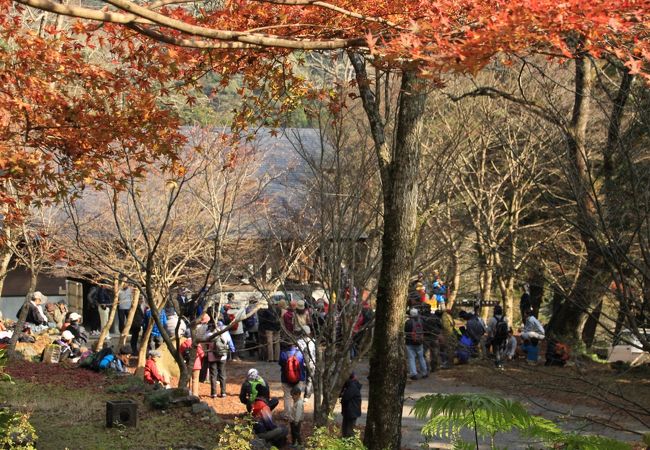 若山牧水が愛した尾鈴山登山の拠点