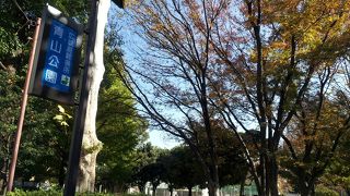 まったりした時間の流れ