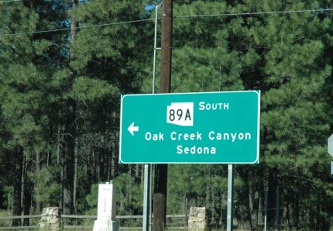 なにも感動なし