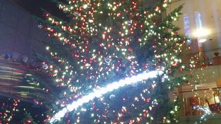 毎年人気のツリーです♪