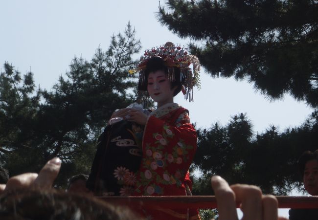 太夫さんが綺麗でした。