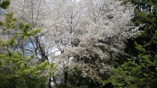 広大な敷地の庭園！