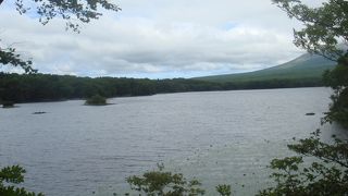 自然にたっぷり触れ合えます。