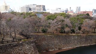 城壁と公園の木々がいい雰囲気