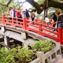 ジオラマ撮影してみた！！