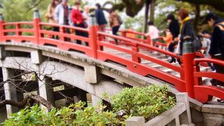 菊祭りがあっていました。