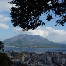 多くの人がいたのでやっと撮影出来た城山展望所から見る桜島