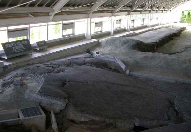北淡町震災記念公園 野島断層保存館 クチコミ アクセス 営業時間 淡路島 フォートラベル 北淡町震災記念公園 野島断層保存館 クチコミ アクセス 営業時間 淡路島 フォートラベル