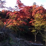 紅葉-白雲山 鳥居観音-