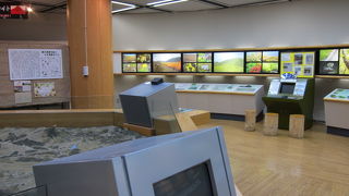 車を降りて、湿原の中を歩いてみよう