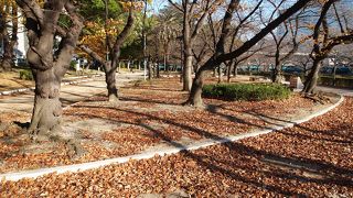天神橋と天満橋の間の細長い公園