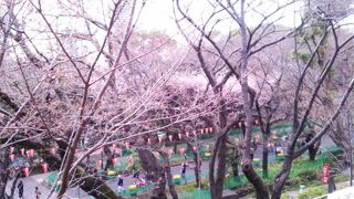 老若男女オールシーズン楽しめる公園