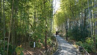 「修禅寺」や「とっこの湯」から、桂川の上流に向かって歩いてすぐ。