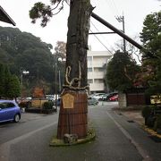 三代加賀藩主・前田利常によって植えられたとされる樹齢約400年の巨木