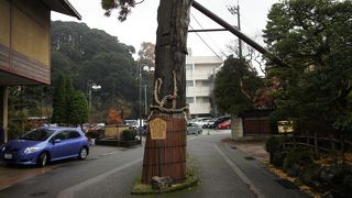 三代加賀藩主・前田利常によって植えられたとされる樹齢約400年の巨木