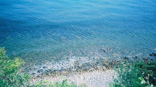 自然が多い場所で野外フェスを堪能!!