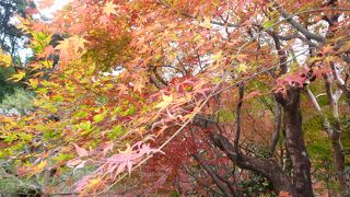 紅葉の時期は大混雑