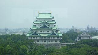 迫力の名古屋城を眺めながら