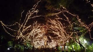 ついでなら嬉しいイベント