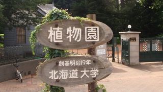 大学の植物園