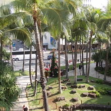 南国ムード満点の樹間から望むカラカウア通り