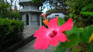 中国福州市との友好都市記念としてつくられたので中国庭園の雰囲気を楽しめ、しかも無料です