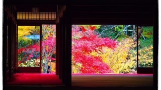 南禅寺の塔頭で、２つある庭園が紅葉に彩られます♪
