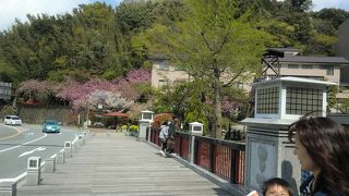 大阪から近い温泉