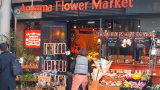 クリスマスの花もありました