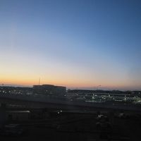 客室から見た朝の成田。