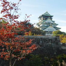 紅葉と大阪城です