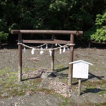 阿曇磯良（あずみのいそら）の墓とも言う磯良恵比寿