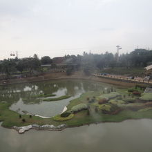 ロープウェーの上から