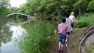 大沼公園　水辺の散歩道