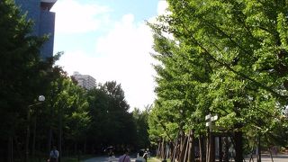 地元民にも観光客にも