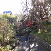 江戸のかおりを現代に復元した入場無料の庭園です。
