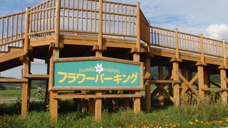 フラワーロード沿いの展望台