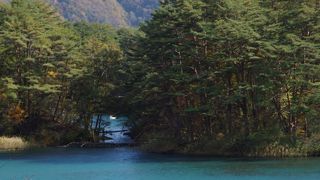 五色沼最大の沼